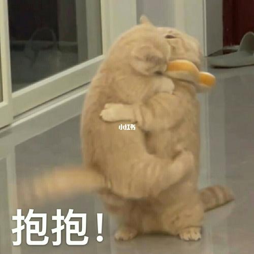 抱抱！