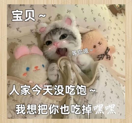 亲爱的 今天就让我好好照顾你吧