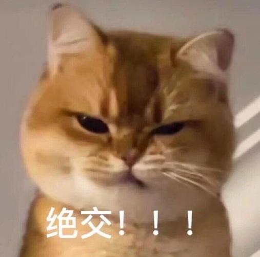 绝交！！！