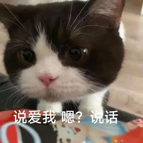 说爱我嗯？说话