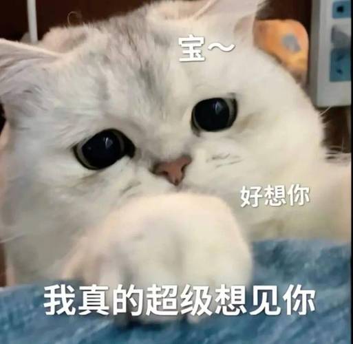 宝~ 好想你 我真的超级想见你