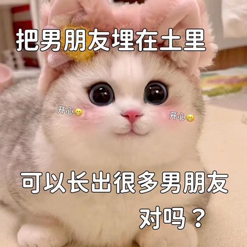 把男朋友埋在土里 开心 开心 可以长出很多男朋友 对吗？