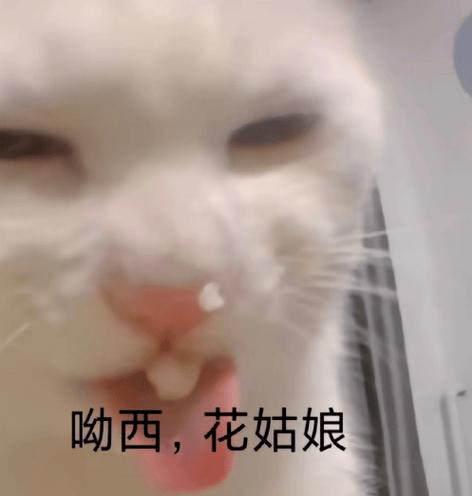 呦西，花姑娘