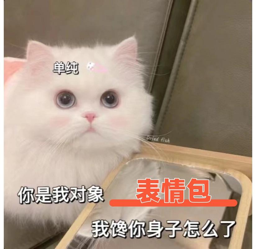 单纯 表情包 你是我对象 我馋你身子怎么了
