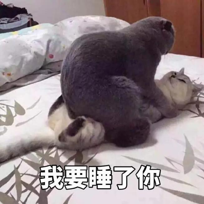 我要睡了你