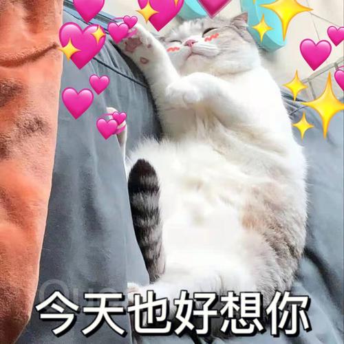 今天也好想你