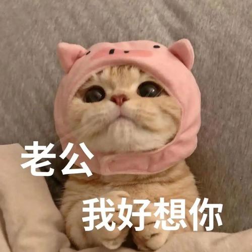 老公 我好想你
