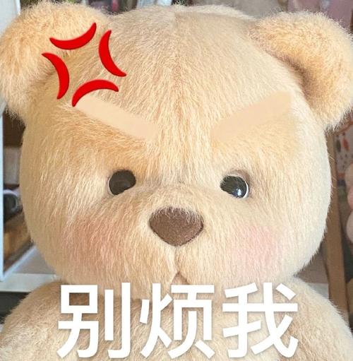 别烦我表情包：网络社交必备用语