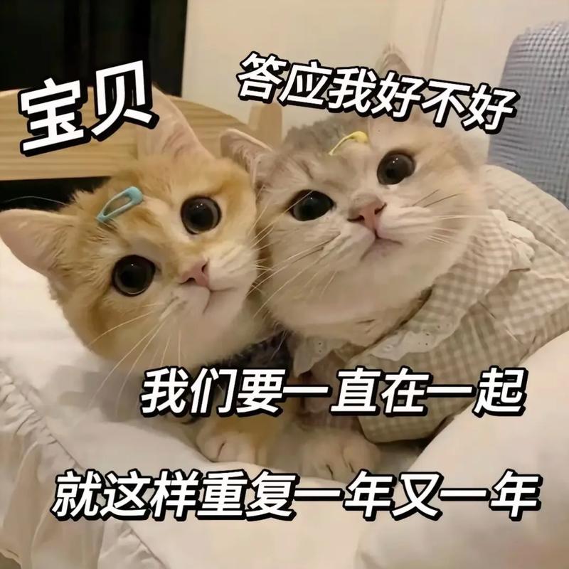 答应我好不好 宝贝 我们要一直在一起 就这样重复一年叉一年