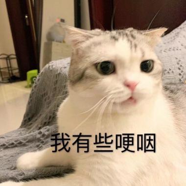 我有些哽咽