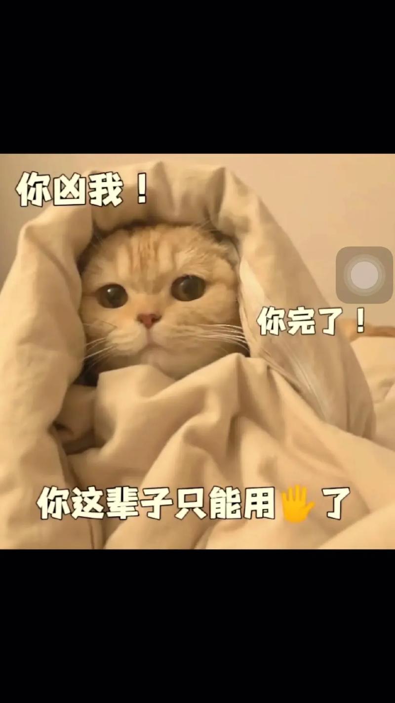你凶我！ 你完了！ 你这辈子只能用
