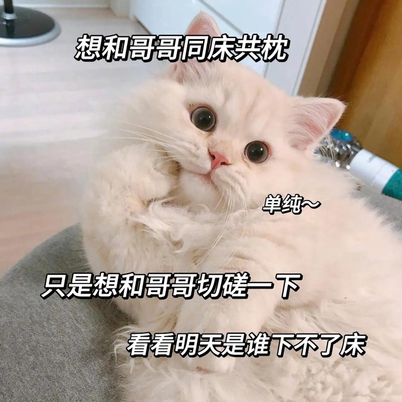 想和哥哥同床共枕 单纯~ 只是想和哥哥切罐一下 看看明天是谁下不了床