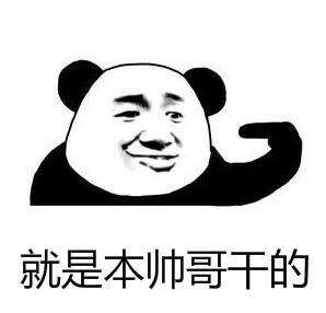 就是本帅哥干的