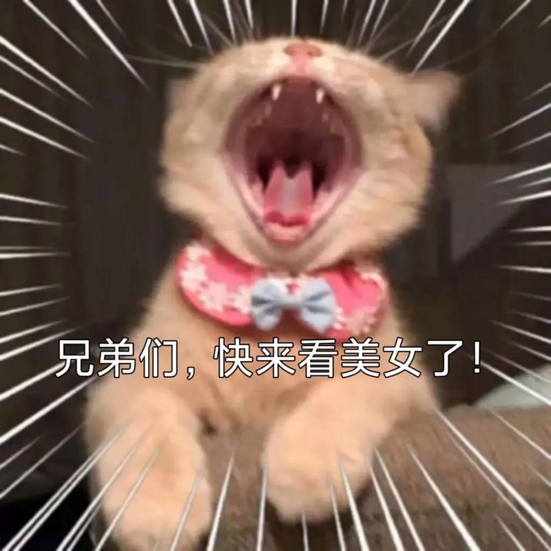 姐妹们快看看这位好看的女人来了兄弟叫你来看美女时的表情