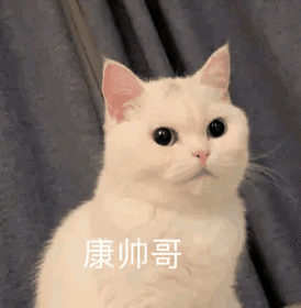 康帅哥