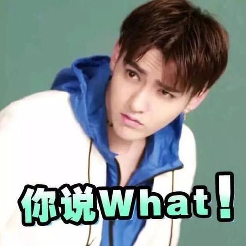 你说What！