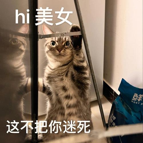 hi美女 ROSY 这不把你迷死