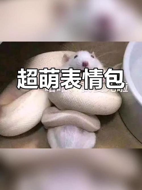 超萌表情包