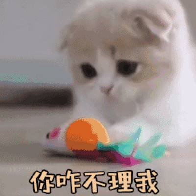 你咋不理我