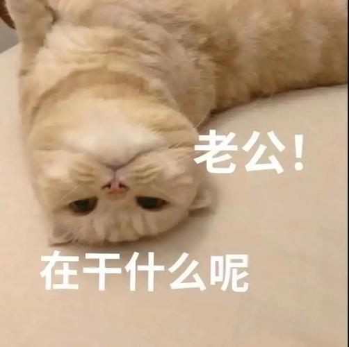 老公！ 在干什么呢