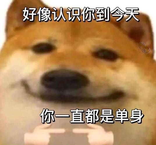 好像认识你到今天 你一直都是单身