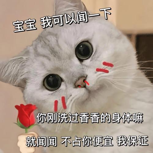 宝宝我可以闻一下 你刚洗过香香的身体嘛 就闻闻不占你便宜我保证