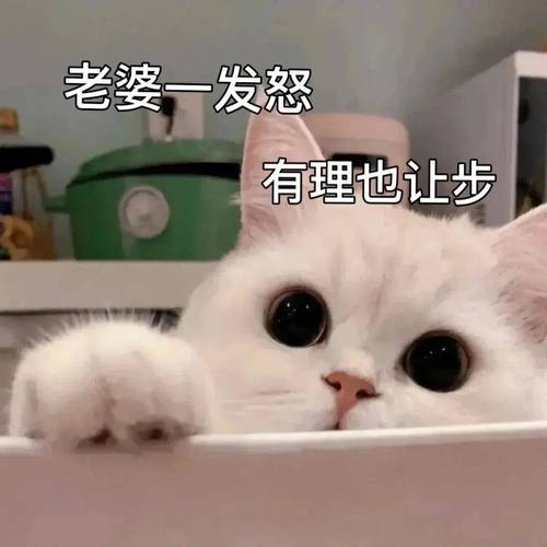 老婆一发怒 有理也让步