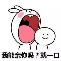 我能亲你吗？就一口