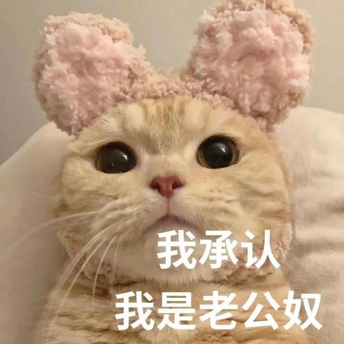 我承认 我是老公奴