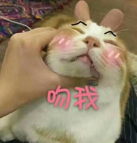 情侣之间的‘吻我’表情包