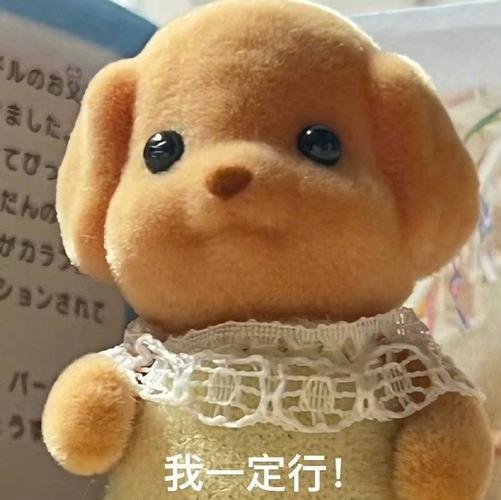 我一定行！