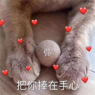 情侣之间亲密互动表情包