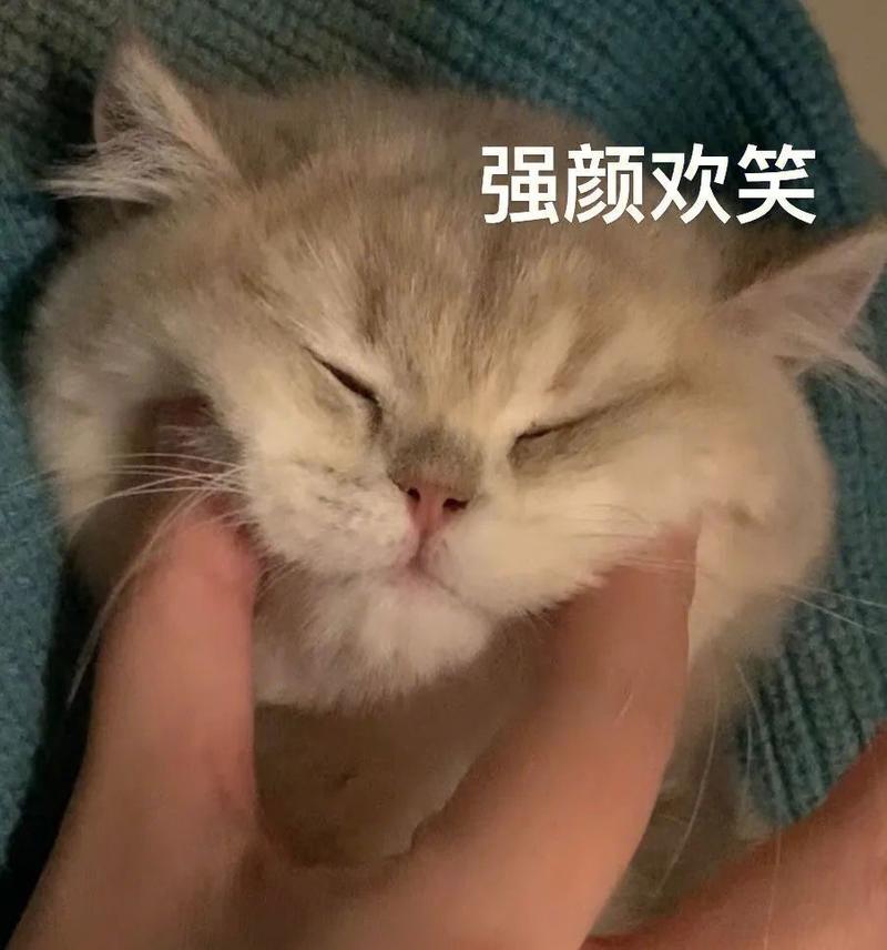 "强颜欢笑：治愈系可爱表情包合集"