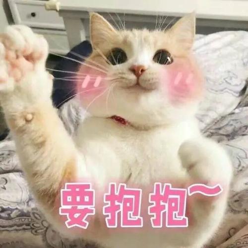 要抱抱