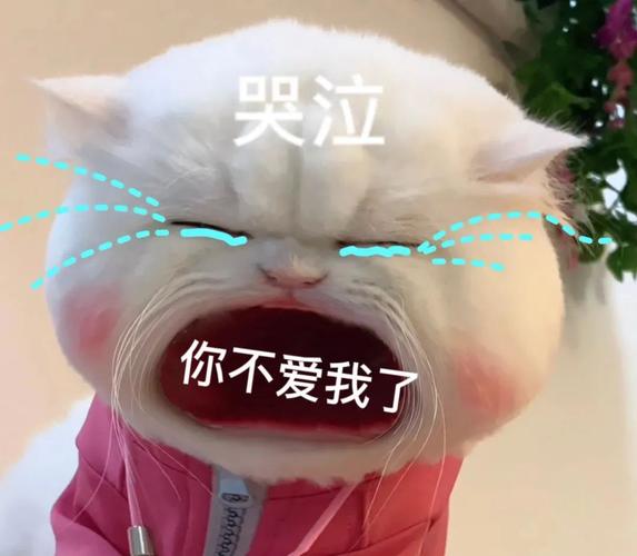 哭泣 你不爱我了