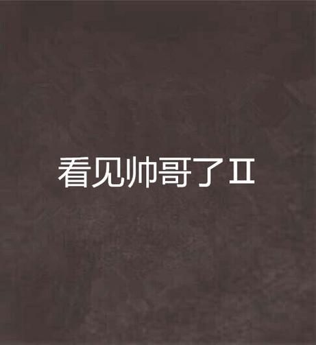 看见帅哥了Ⅱ