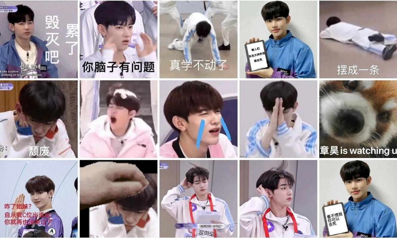毁灭吧 累了 你脑子有问题 真学不动了 摆成一条 颓废 章昊iswatchingu 咋了姐妹？ 自从我C位出道 你就再也