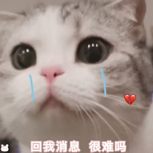 回我消息 很难吗