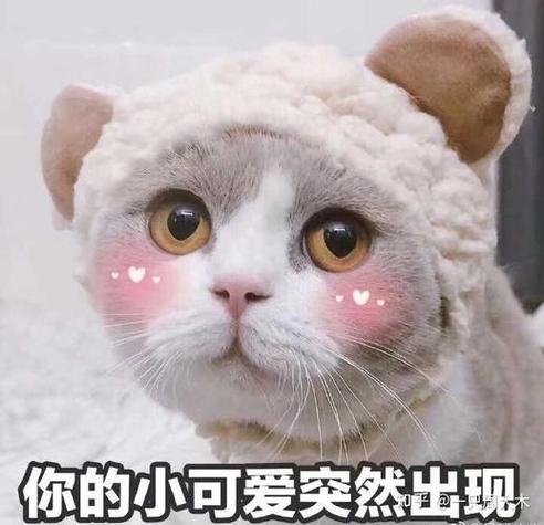 你的小可爱突然出现最可爱的呆萌表情包图片