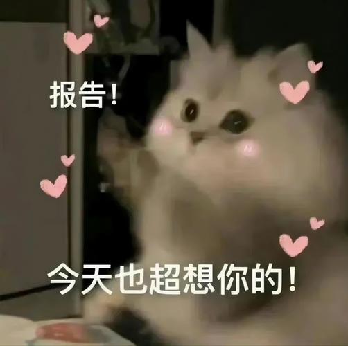 报告！ 今天也超想你的！