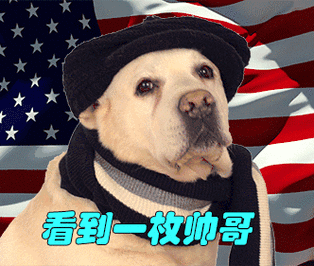 看到一枚帅哥