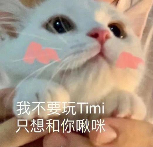 我不要玩Timi 只想和你啾咪