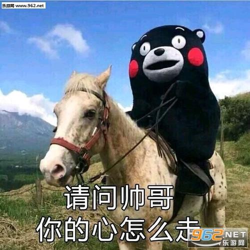 请问帅哥 你的心怎么走 NET 乐游