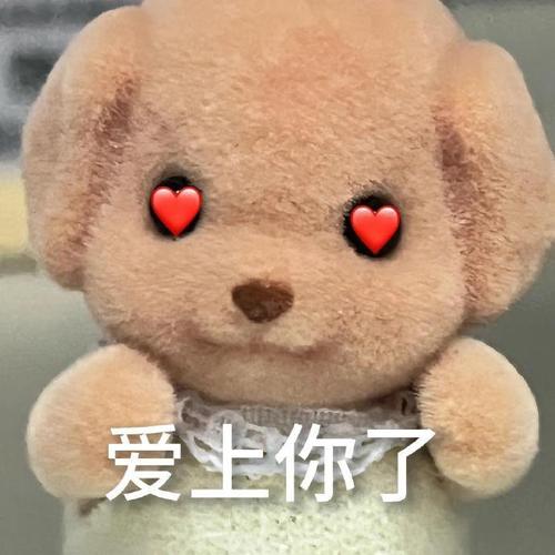 爱上你了