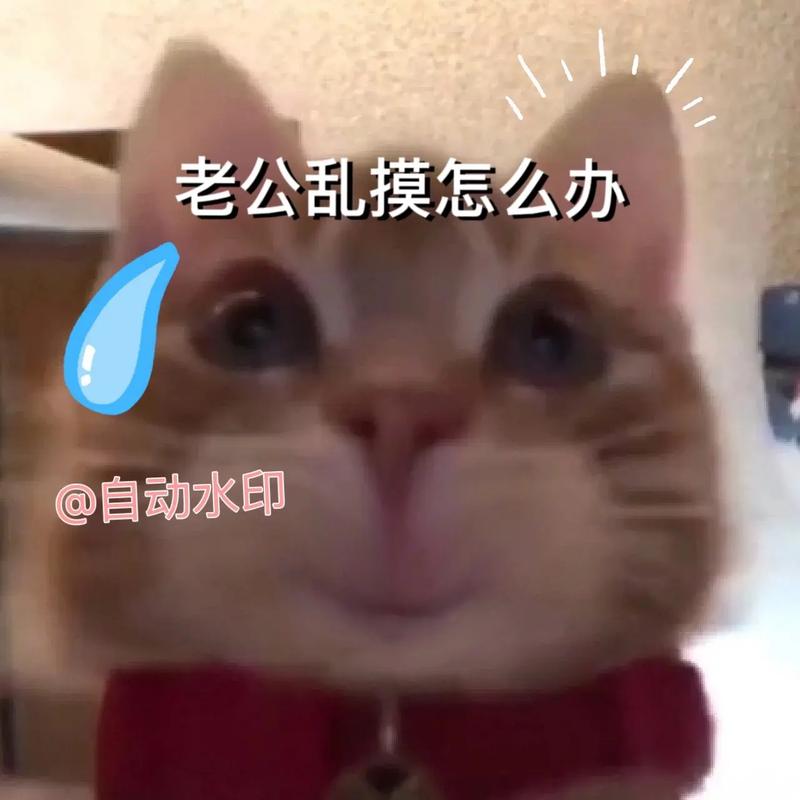 老公乱摸怎么办 @自动水印