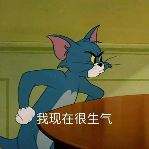 表达愤怒的情感：‘我现在很生气’的可爱表情包合集