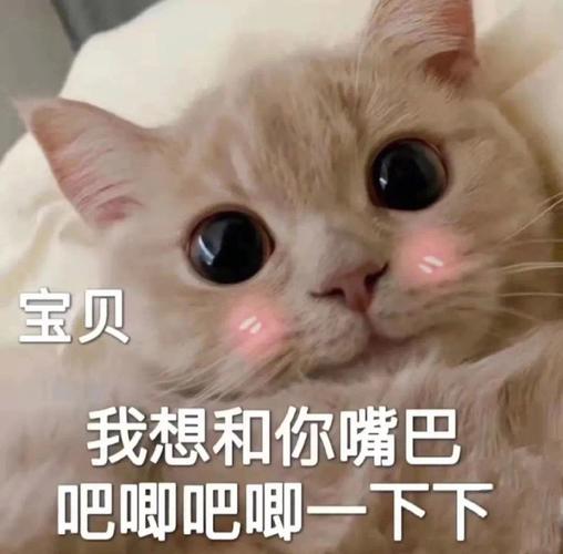 宝贝 我想和你嘴巴 吧唧吧唧一下下
