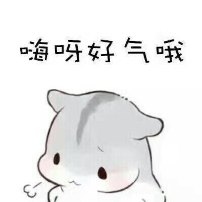 嗨呀好气哦