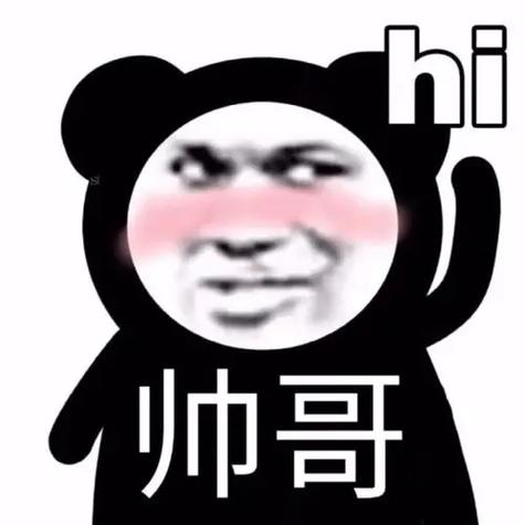 hi 帅哥