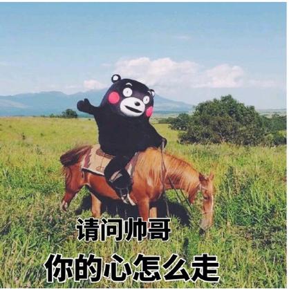 请问帅哥 你的心怎么走